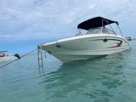 CHAPARRAL 24