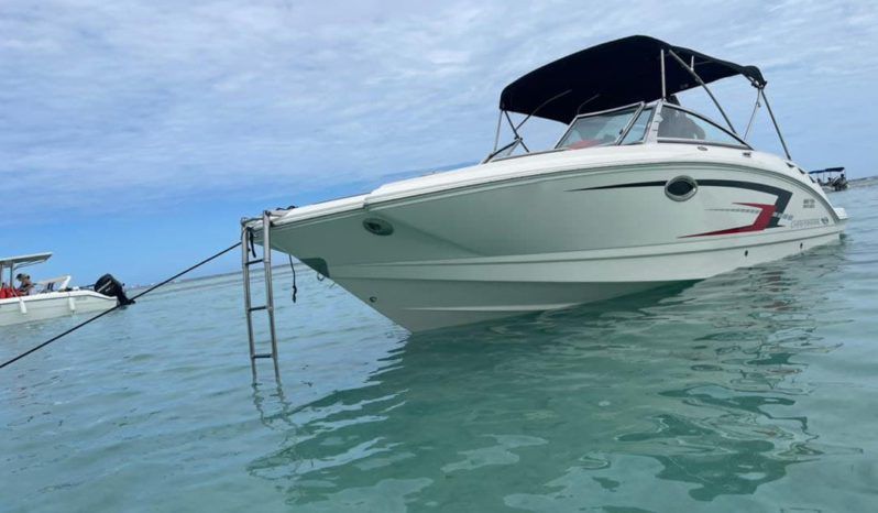 
								CHAPARRAL 24 full									