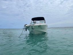 
										CHAPARRAL 24 full									