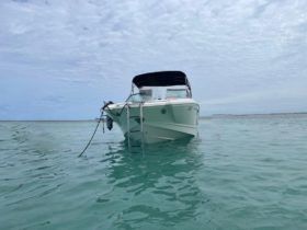 CHAPARRAL 24