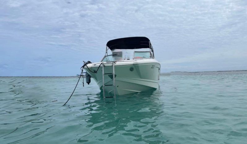 
								CHAPARRAL 24 full									