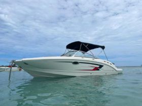 CHAPARRAL 24
