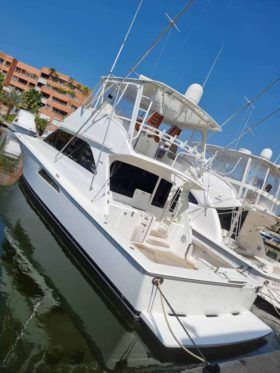 VIKING 50