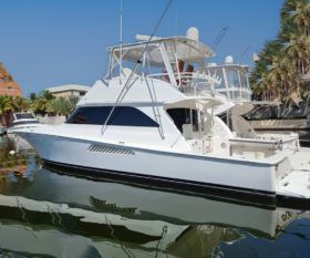 VIKING 50