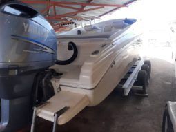 PROMARINE 33