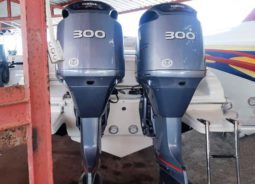 
										PROMARINE 33 full									