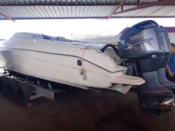 PROMARINE 33