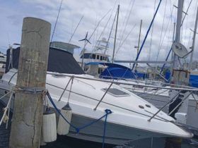 DORAL SC 30