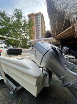 
										PEÑERO TROMPA DE BALLENA 28 full									