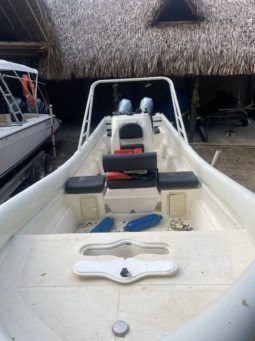 
										PEÑERO TROMPA DE BALLENA 28 full									