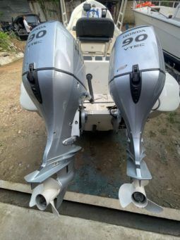 
										PEÑERO TROMPA DE BALLENA 28 full									