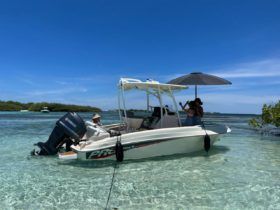 PROMARINE OPEN 21