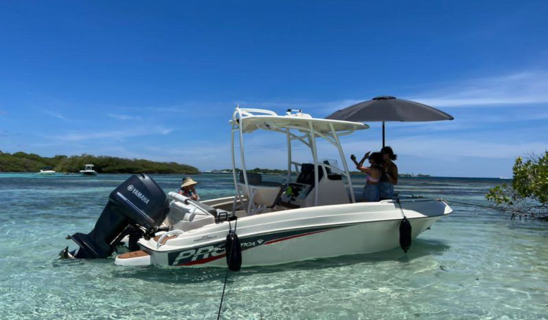 
								PROMARINE OPEN 21 full									