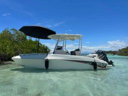 
										PROMARINE OPEN 21 full									