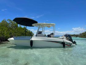 PROMARINE OPEN 21