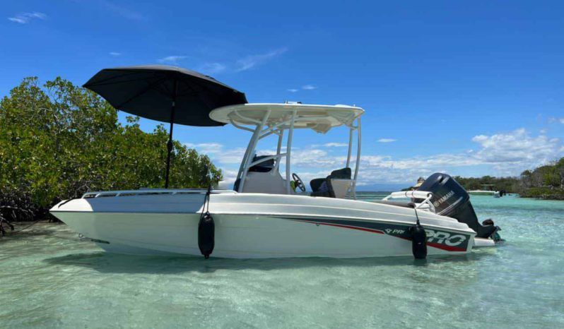 
								PROMARINE OPEN 21 full									