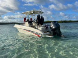 
										PROMARINE OPEN 21 full									