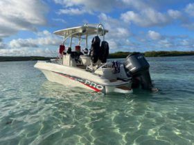 PROMARINE OPEN 21