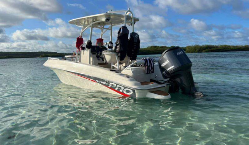 
								PROMARINE OPEN 21 full									