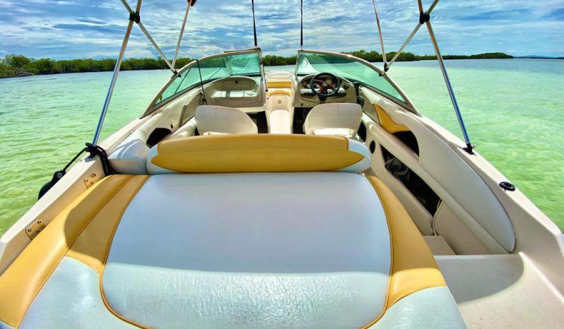 
								MONTEREY 208 SI full									