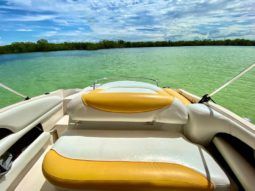 
										MONTEREY 208 SI full									