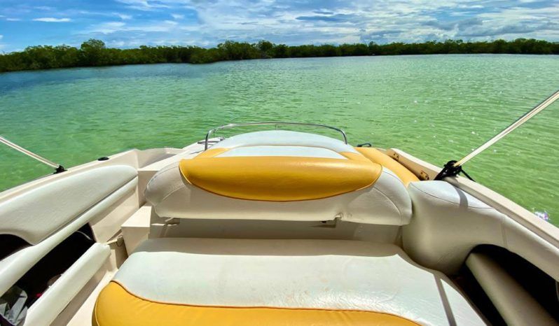 
								MONTEREY 208 SI full									