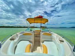 
										MONTEREY 208 SI full									