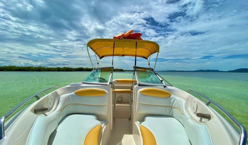 
								MONTEREY 208 SI full									