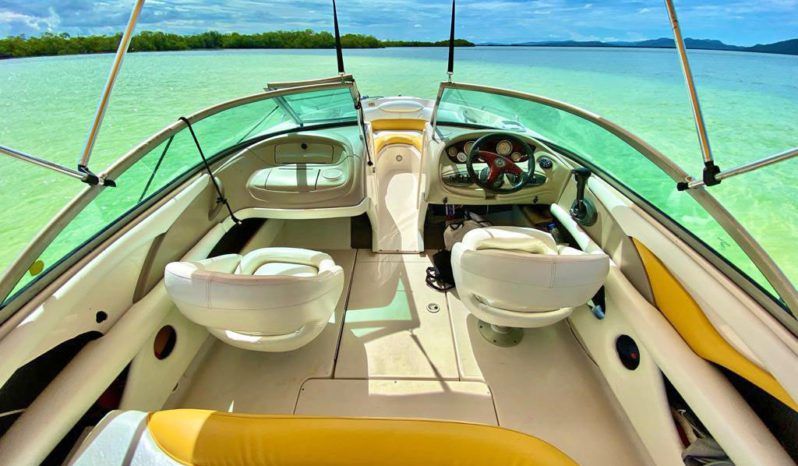 
								MONTEREY 208 SI full									