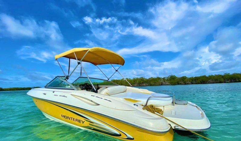 
								MONTEREY 208 SI full									