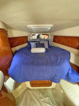 
										SEA RAY SUNDANCER 34 full									