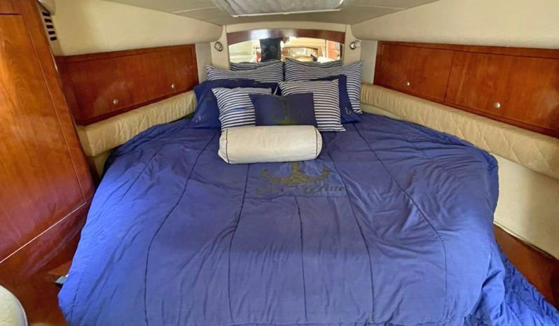 
								SEA RAY SUNDANCER 34 full									