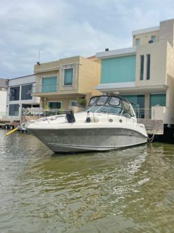 
										SEA RAY SUNDANCER 34 full									
