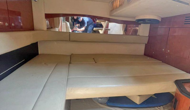 
								SEA RAY SUNDANCER 34 full									