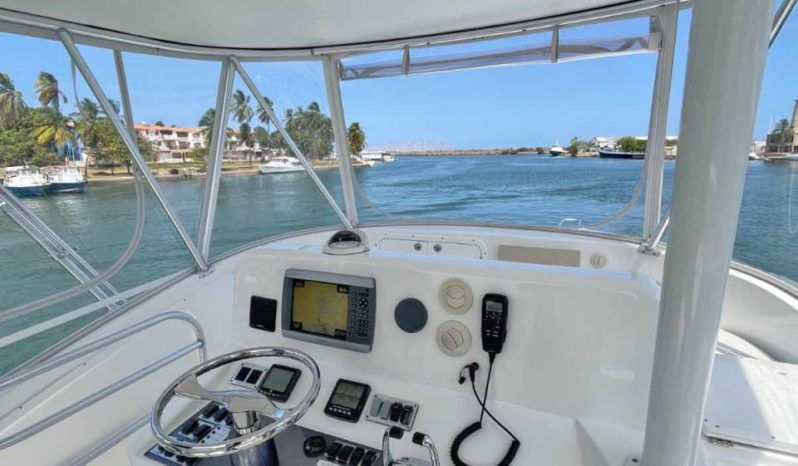 
								LUHRS 41 full									