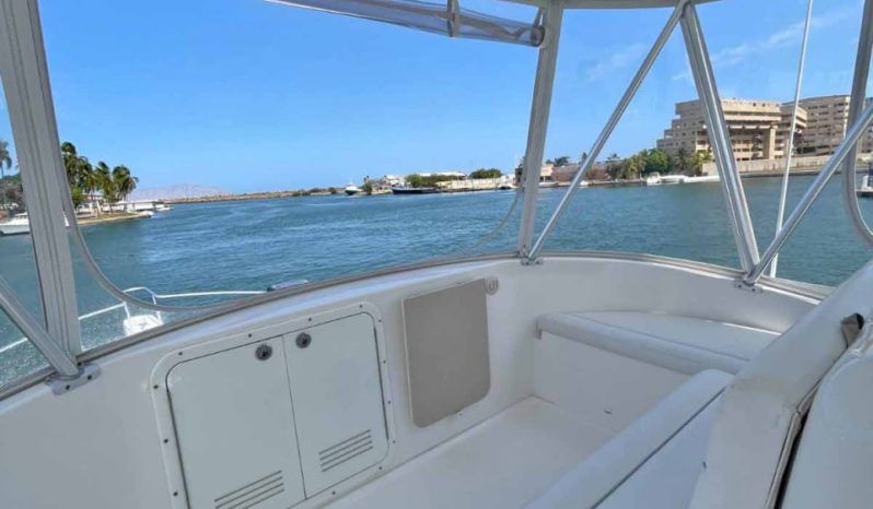 
								LUHRS 41 full									