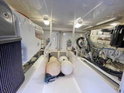 
										LUHRS 41 full									