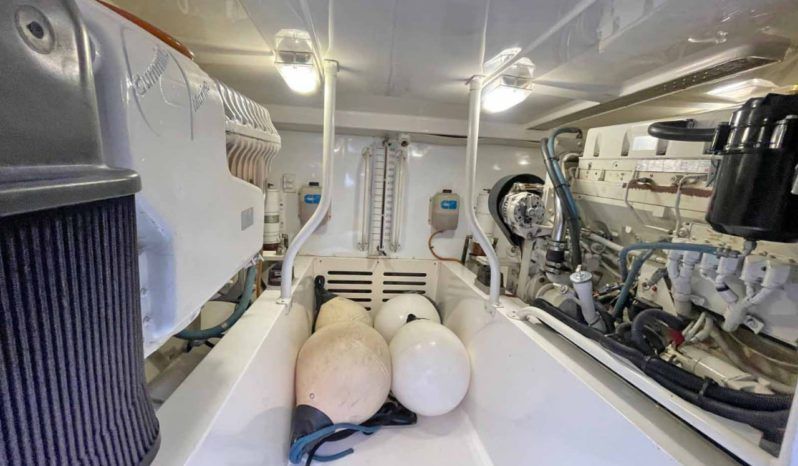 
								LUHRS 41 full									