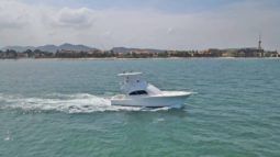 
										LUHRS 41 full									
