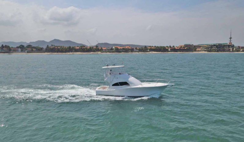 
								LUHRS 41 full									