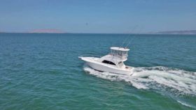 LUHRS 41