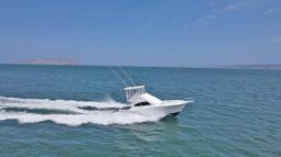 
										LUHRS 41 full									
