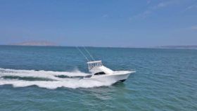 LUHRS 41