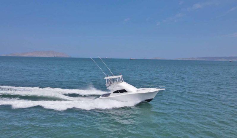
								LUHRS 41 full									
