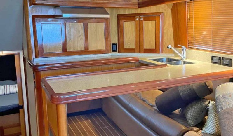 
								LUHRS 41 full									