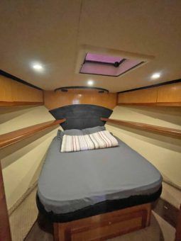 
										LUHRS 41 full									