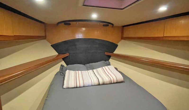 
								LUHRS 41 full									