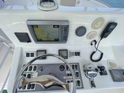 
										LUHRS 41 full									