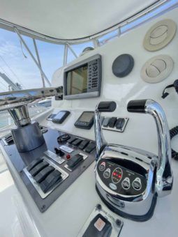 
										LUHRS 41 full									