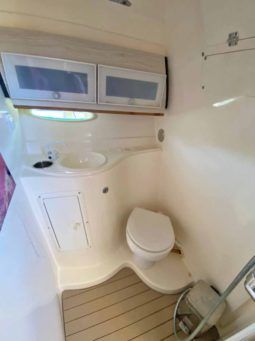 
										PROMARINE EXPRESS 34 full									